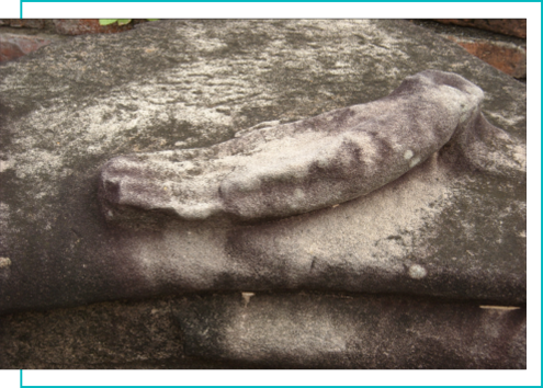 se-reconcilier-avec-son-corps