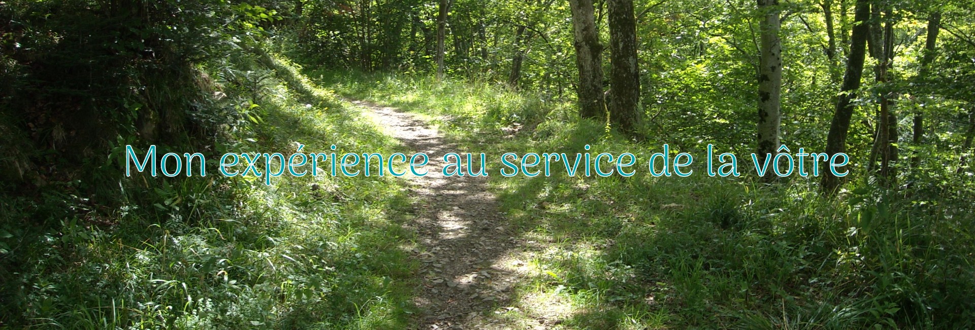 trouver-son-chemin-de-vie